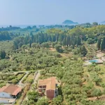 Apartamento Liofyto